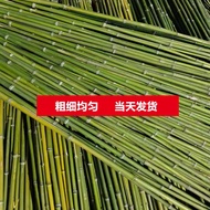 Bamboo Pole Vegetable Garden Rack Vegetable Cucumber Tomato Beans Rack Rod Bamboo Fence Fence Small 