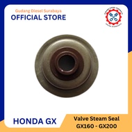 VALVE Seal | Valve Steam Seal GX160 / GX200 / GX220