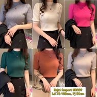 IMPORTED KNIT TOP 8238