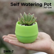 Pot/unique Pot/Ornamental Plant Pot/Self Watering Pot 7x7 Cm