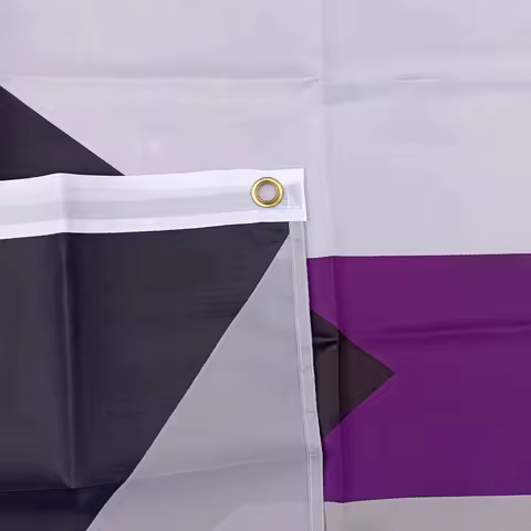 Aerlxemrbrae Rainbow Flag 90x150cm LGBTQIA Ace Community Demi Asexuality asexual pride demisexual Fl