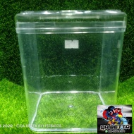 Betta Fish Tank Betta Tank Bekas Ikan Laga Ikan Laga Betta Betta Aquarium Fish Tank Betta Container