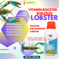 Vitamin Lobster Air Tawar / Vitamin Lobster / Vitamin Udang Lobster / Vitamin Penggemukan Lobster /