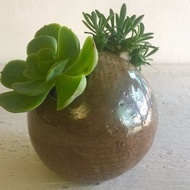 圓洞洞盆栽系列–原色雙開口_陶器花器盆栽