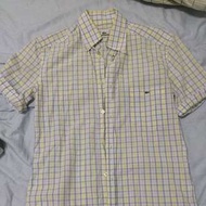 Lacoste Shirt 襯衫 短袖
