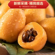Takiyudo Dried Loquat Dried Fruit Casual Snacks Candied Fruit Dried Fruit Loquat Dried Fruit Loquat 
