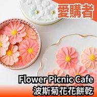 【三罐組】日本 北海道函館 Flower Picnic Cafe 波斯菊花花餅乾 母親節 禮物 禮盒 伴手禮 點心  