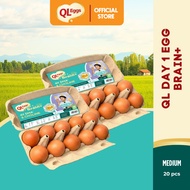 QL Brain+  Day 1 Egg - Medium 20pcs Fresh Egg Farm Fresh Egg Telur Segar