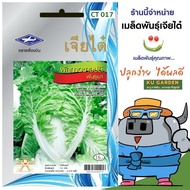 CHIATAI 🇹🇭 ผักซอง เจียไต๋ ผักกาดขาวปลี พันธุ์เบา O017 ประมาณ 4,270 เมล็ด ผักกาด เมล็ดพันธุ์ผัก เมล็ด