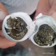 Salted Duck Egg Smelly Duck Egg Salted Duck Smelly Sea Duck Egg Smelly Egg Cooked Smelly Duck Egg Sm