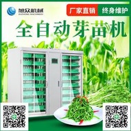 旭眾芽苗菜機商用全自動恒溫控水智能生發豌豆苗蘿卜蒜苗機芽苗機