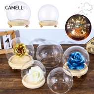 CAMELLI Glass cloche Fairy Lights Home Decor Spherical Transparent Bottle Glass Vase Jar Flower Storage box