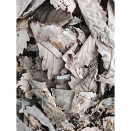 Natural Dried Oak Leaves | Leaf Litter for Isopods, Reptiles, Terrariums & Bioactive Setups