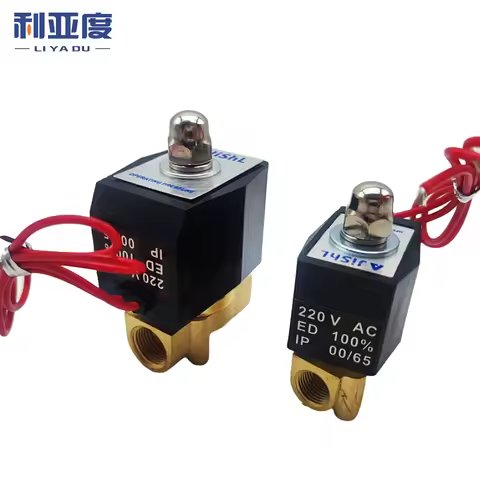 DN15 DN20 DN25 DN08 Electric Brass Solenoid Valve for Water Oil and Air Normally Closed IP65 12V, 24