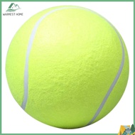 9.5 Inch Dog Tennis Ball Giant Pet Toys Big Inflatable Tennis Ball Dog Chewing Toy Giant Tennis Ball