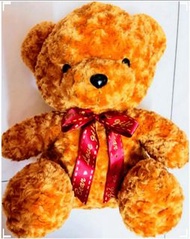 帳號內物品可併單限時大特價  超可愛玫瑰絨毛坐熊泰迪熊熊娃娃Teddy bear doll玩偶45cm公分18吋兒童玩具