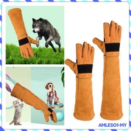 [AmlesoaeMY] Pet Handling Gloves Anti-Scratch Protective Gloves Cleaning Glove Comfortable for Veterinarians Zoo Staff