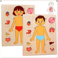 Human Anatomy Wooden Puzzles Toys Kids Early Learning Internal Organ Montessori Educational Toys