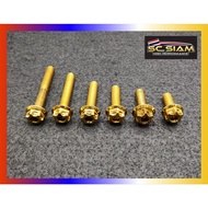 🇹🇭🔥 SKRU SAIZ 12/M8 GOLD ORIGINAL SC SIAM THAILAND CARBON STEEL 🇹🇭🔥 SKRU UNIVERSAL WARNA GOLD M8 SAI