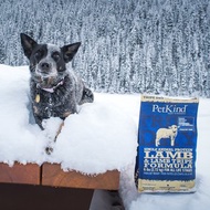 【狗主食】PetKind 野胃 低敏羊 天然鮮草肚狗糧 單一蛋白質