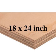 ☞┅18 x 24 inches pre-cut premium marine plywood