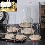 WINTE Glass cloche Plants Fairy Lights Terrarium Glass Vase Jar Wooden base