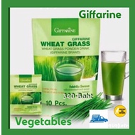 Wheat Grass Young News Tree Giffarine 1 Pack 10 Sachets
