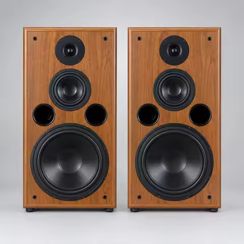 10 Inch Bookshelf Speaker 200W Monitor Speakers 6Ohm Bass Silk Film Tweeter F109 Speaker Fever Passi