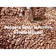 [Jiatang Coffee] Panama Aurora Manor Geisha Sun-Dried Natural Coffee Beans
