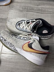 Nike Lebron 20 "Leopard" 男裝籃球鞋us13