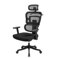 เก้าอี้เพื่อสุขภาพ เฟอร์ราเดค Buddy