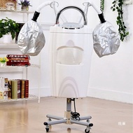 Double Head Oil Steamer, Hair Steamer Specialized in Salon Hair Treatment Machine - HSM0002