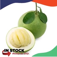 CN Ipoh Famous Tambun Pomelo / Tambun limau Bali  Sweet & Sweet-Sour Manis & Masam Manis [ Halal ][ 