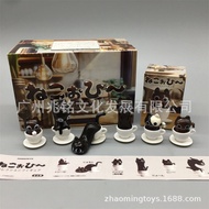T Trendy Play Mystery Box Coffee Cat Cat Coffee Transparent Liquid Cat Coffee Capsule Toy Ornaments 