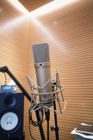 Neumann U87 Ai Microphone