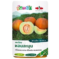 Benih Timun Betik Bulat / Round Musk Melon / East West Seed Cap Panah Merah (80biji)