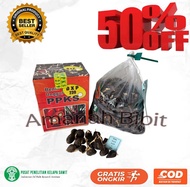 (TERLARIS)BENIH KECAMBAH sawit PPKS SMB/239 MEDAN Asli isi 250 butir BERSERTIFIKAT BELI 1 free serfi