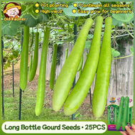 100% Original Super Long Bottle Gourd Plant Seeds Veggie Seeds for Planting Vegetable Plants (Fresh 