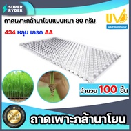 ถาดเพาะกล้านาโยน 434 หลุม (หนา) มีให้เลือกซื้อ 1-500 ชิ้น ถาดนาโยน ถาดเพาะปลูก ถาดเพาะกล้า กล้านาโยน