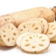 Lotus Root / Akar Teratai Fresh ✅