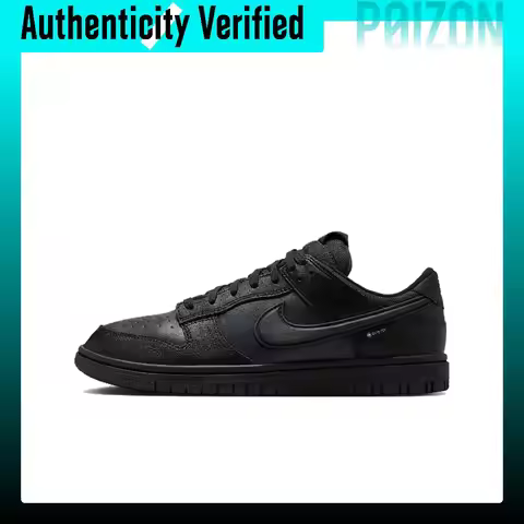 Nike Dunk Low top Skateboard Shoes Men's Black HQ2053-001