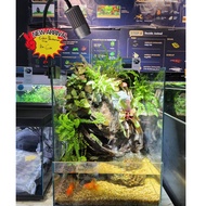 [MTO] BOS AQUARIUM Eden Paludarium Full Set Including CC Tank /Aquascape / Light 30x30x45