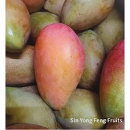 Mangga Aiwen Segar | Pelam Irwin | Irwin Mango | 新鲜爱文芒果（1~2KG+）