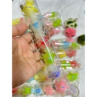 Keychain penyu Terengganu 6pc