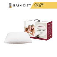 HILLCREST MEMORY FOAM PILLOW SENSATION