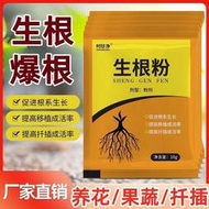 【全場】生根劑 生根 生根壯苗發根劑果樹沖施肥植物通用花卉移栽樹木扦插快速生根竹