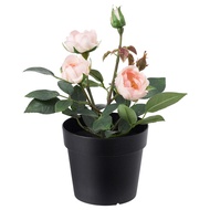 IKEA FEJKA Artificial potted plant, in/outdoor, Rose pink