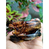 Akar BAHAR BRAHMA carved maun bracelet9