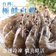 最愛新鮮_台灣極鮮白蝦3盒(250g±10%/盒)