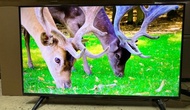 LG 43吋 43inch UQ7000 4K 智能電視 Smart tv